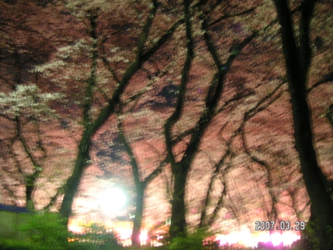 s_PICT0013.jpg